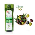 Essence Olive Shampoo